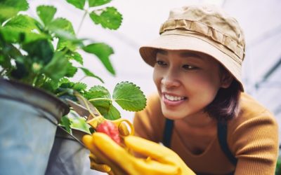 WISHful Container Gardening