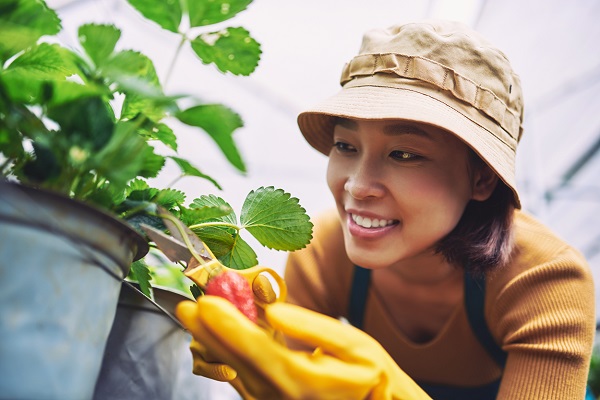 WISHful Container Gardening